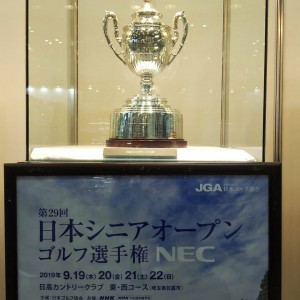 IMG_20190720_005047_544