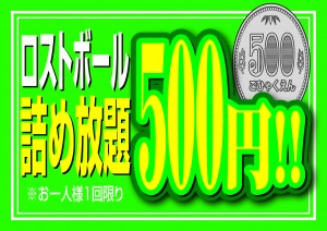 ロストボール500円