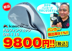ドルフィンウエッジ9800円